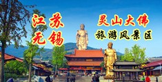 插入穴网站江苏无锡灵山大佛旅游风景区